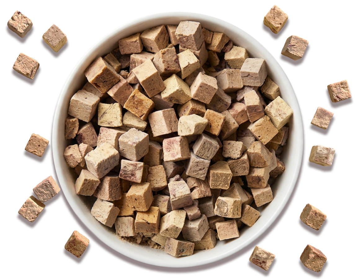 Bowl of freeze-dried beef liver treats